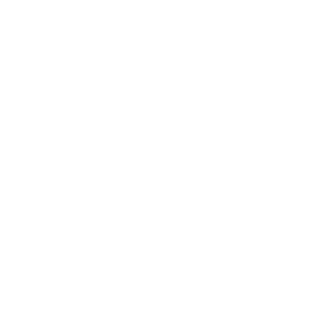Punto Chillán