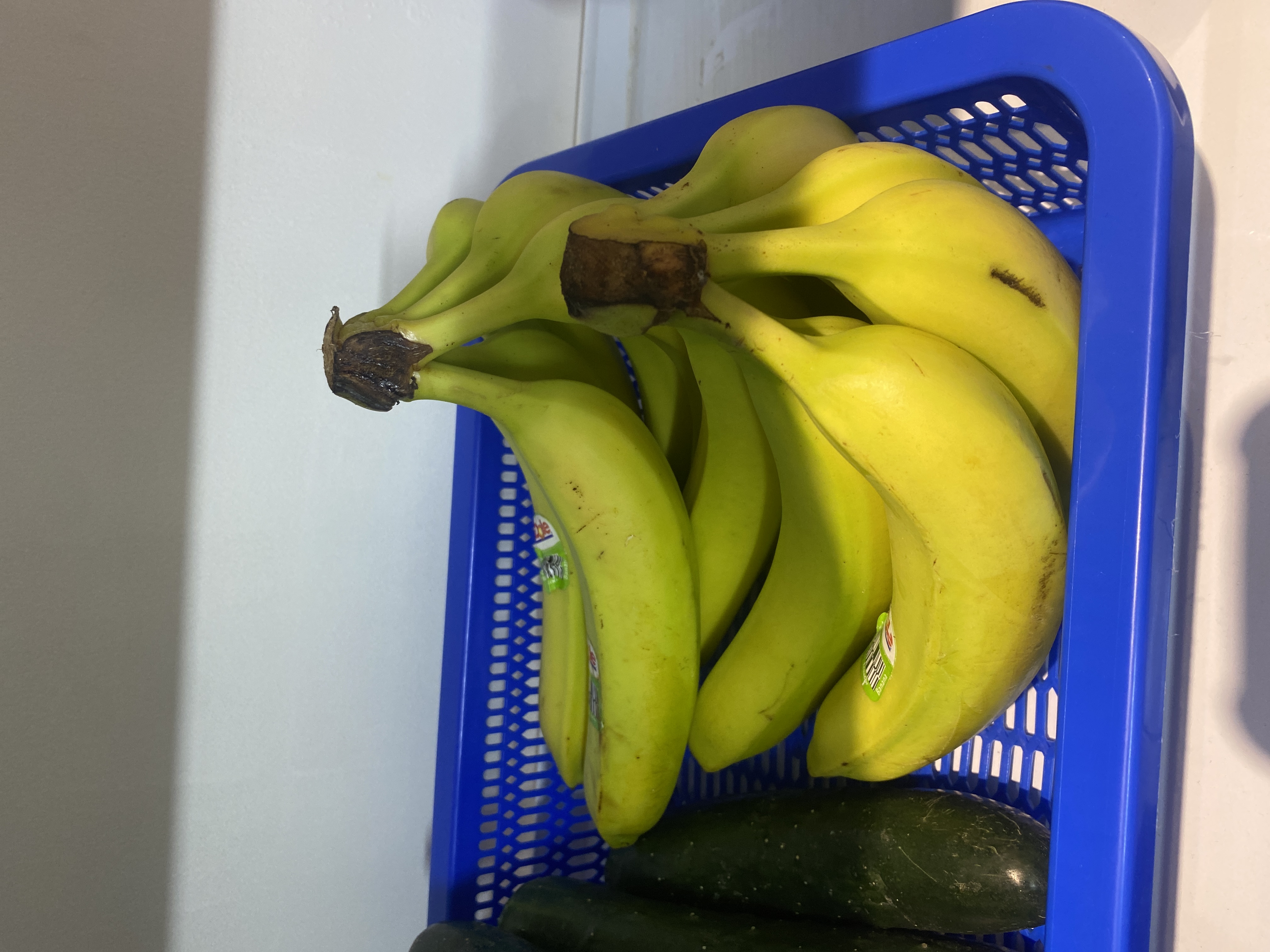 Platano